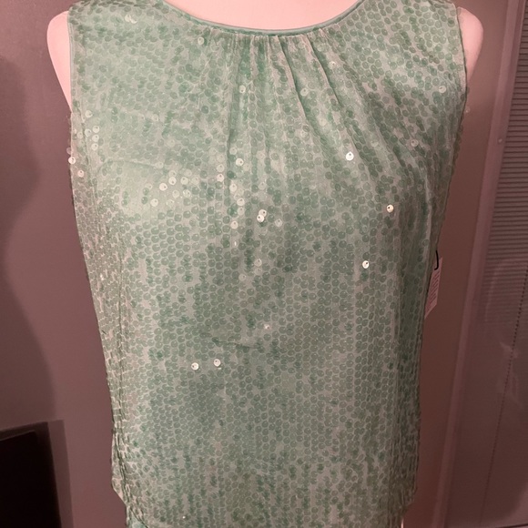 CALVIN KLEIN Mint Green Outfit Size 8 Petite Medium, Sequinned by hand - Picture 1 of 9